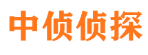 澜沧侦探公司